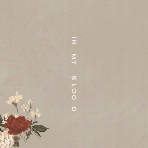 https://www.shotcan.com/images/2018/03/22/Shawn-Mendes-In-My-Blood.jpg