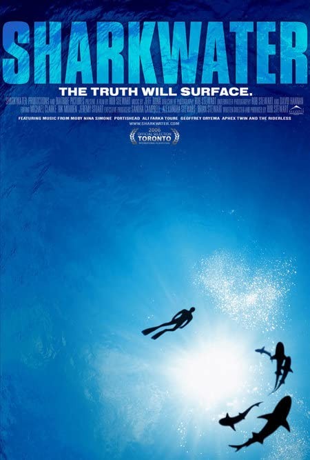 Sharkwater 2006 720p 10bit BluRay x265 budgetbits
