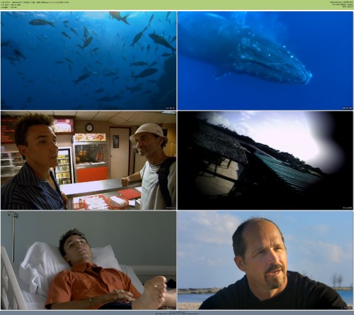 Sharkwater 2006 720p 10bit BluRay x265 budgetbits