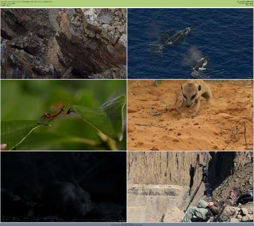 Life.Story.2014.720p.10bit.BluRay.x265-budgetbits