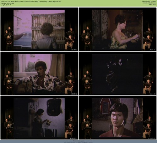 East Meets Watts 1974 Cinematic Titanic 480p 10bit DVDRip x265 budgetbits