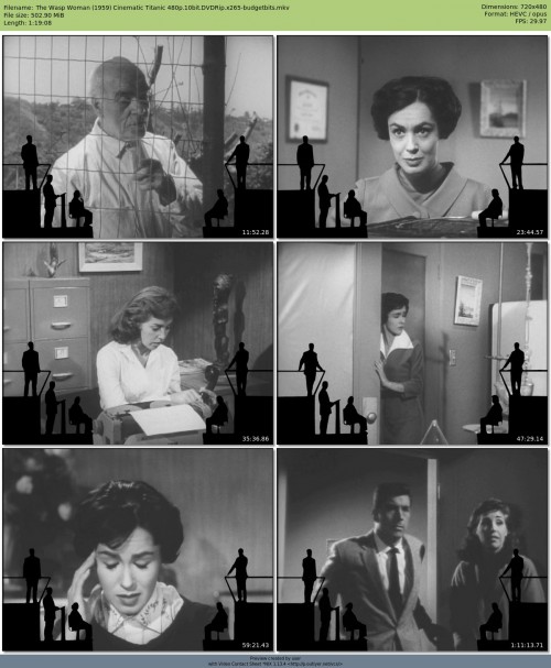 The Wasp Woman 1959 Cinematic Titanic 480p 10bit DVDRip x265 budgetbits